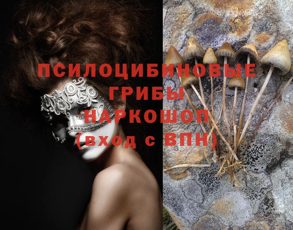 a pvp Балабаново